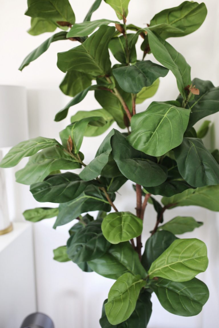 The Best Faux Plants for the Home & Where to Buy Them