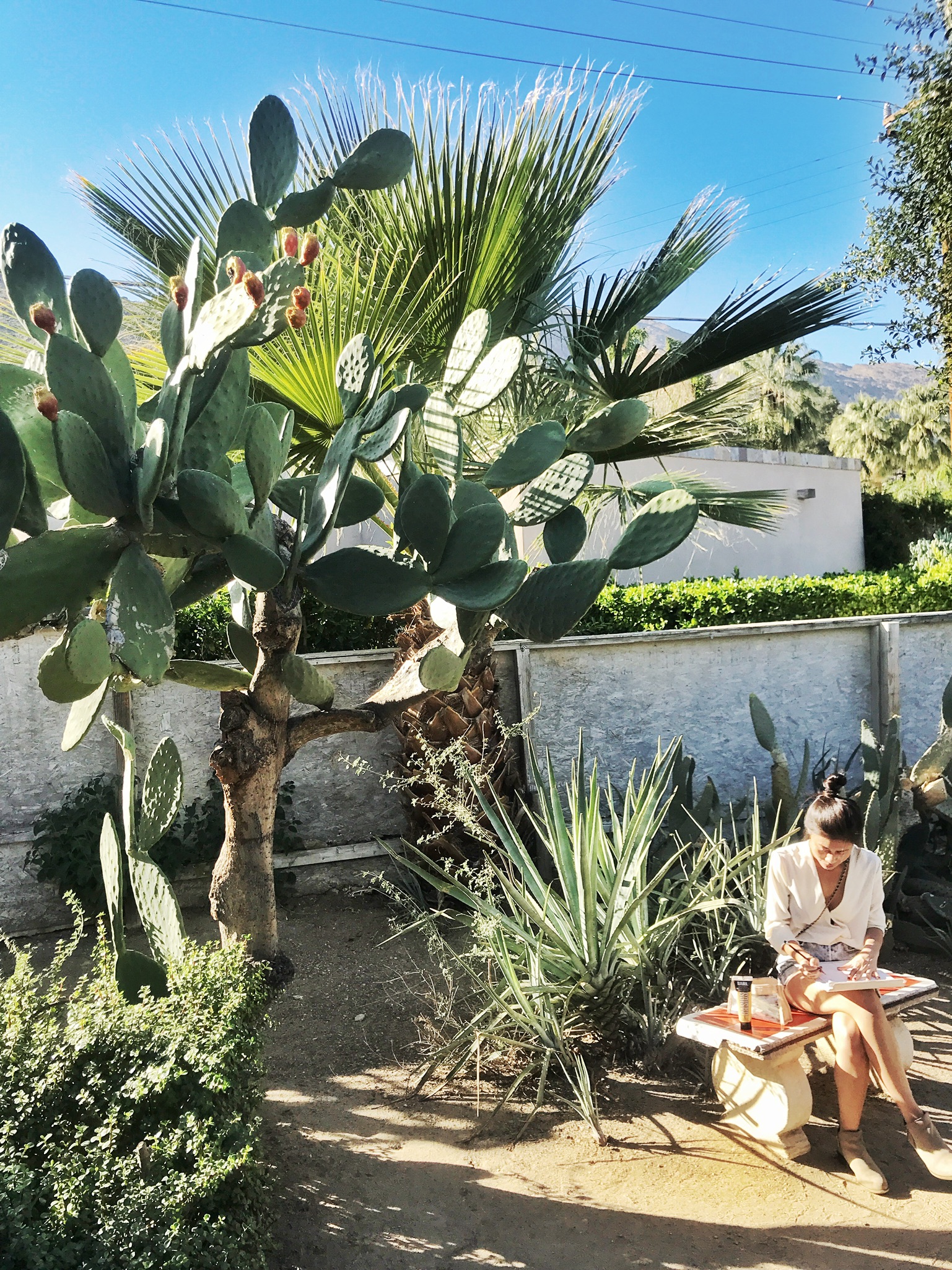 What To Do In Palm Springs Moorten Botanical Garden Gypsy Tan