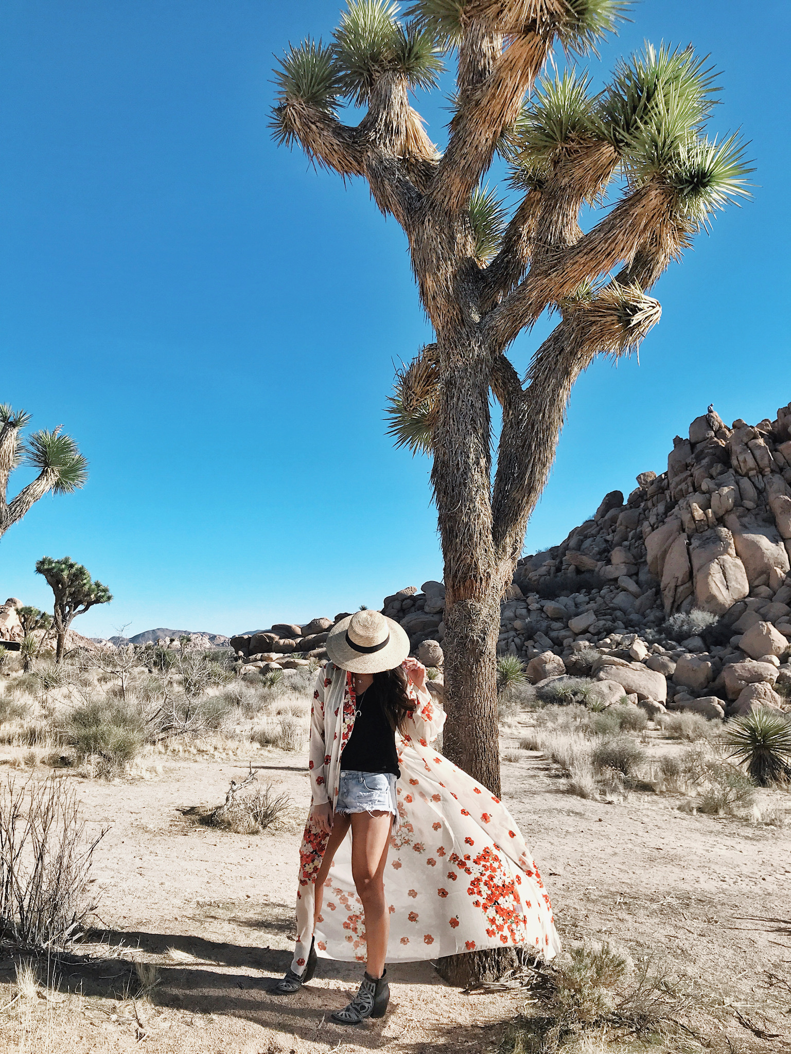 The Most Instagram-Worthy Places in Palm Springs Guide | Gypsy Tan